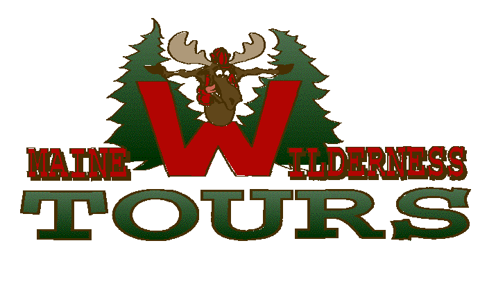 Maine Wilderness Tours